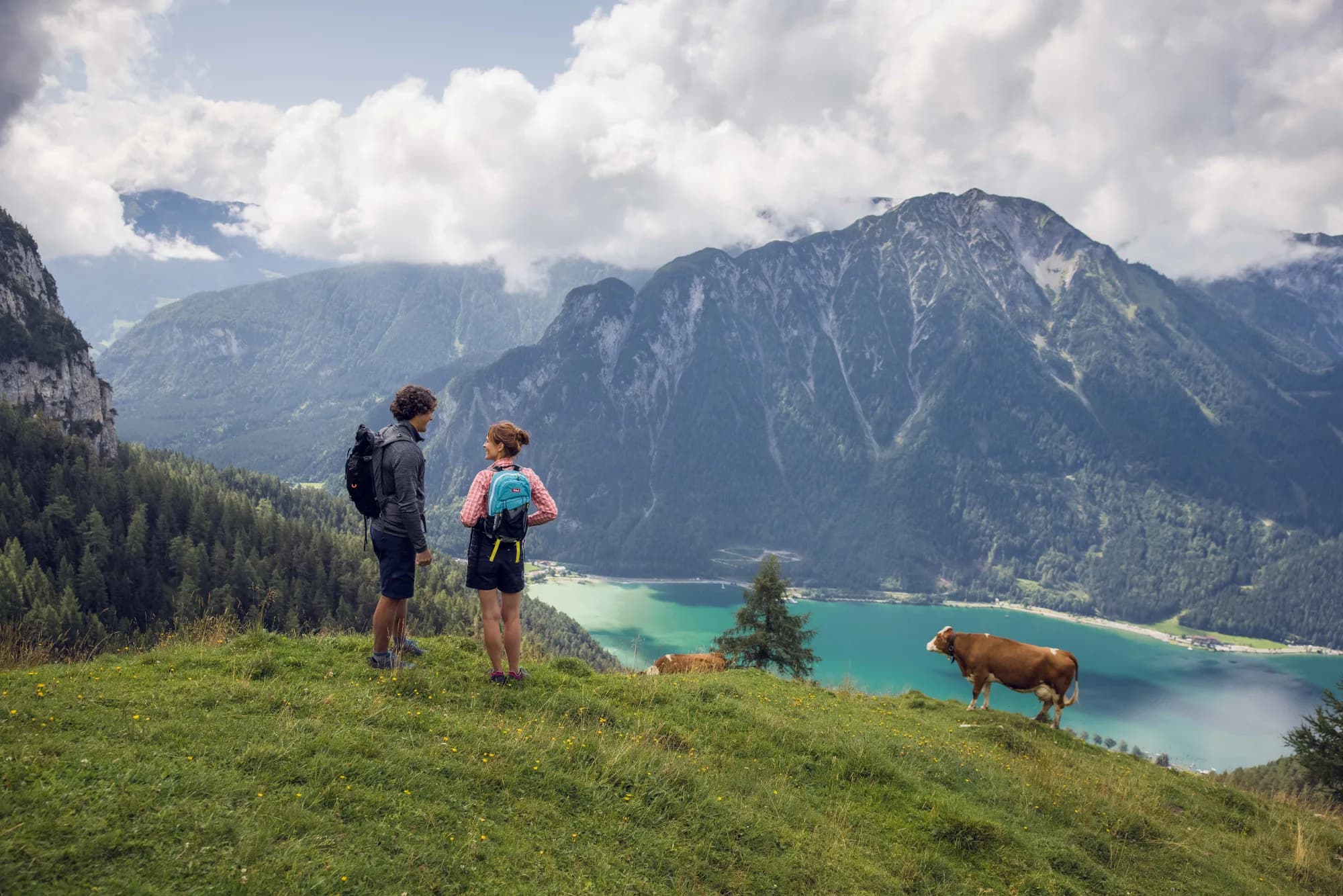 Paar mit Kuh auf einer Almwiese bei der Dalfaz Alm im Rofangebirge mit Blick auf den türkisblauen Achensee