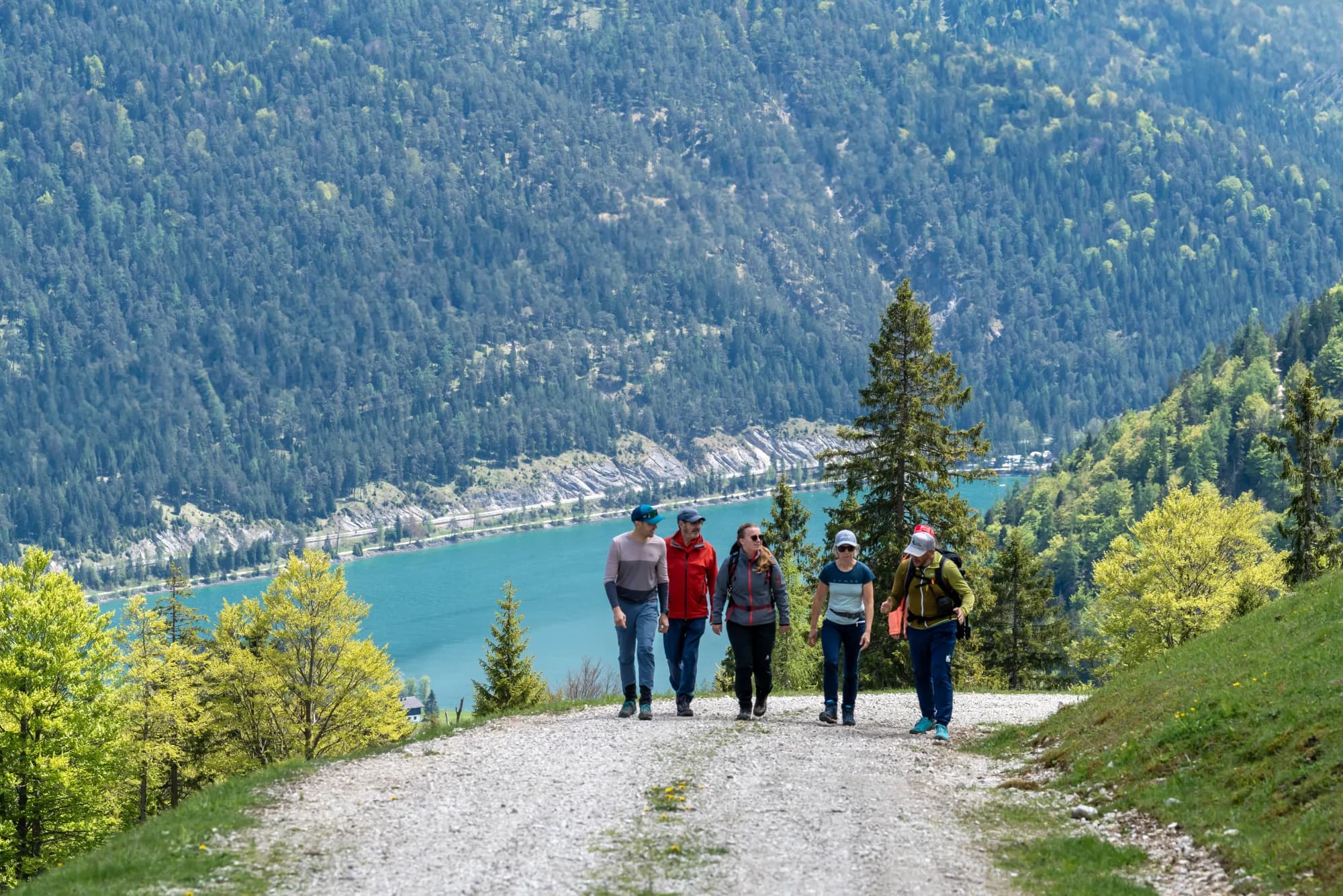 Wandergruppe auf der Nature Watch Tour zur Moosenalm in Achenkirch, im Hintergrund der Achensee