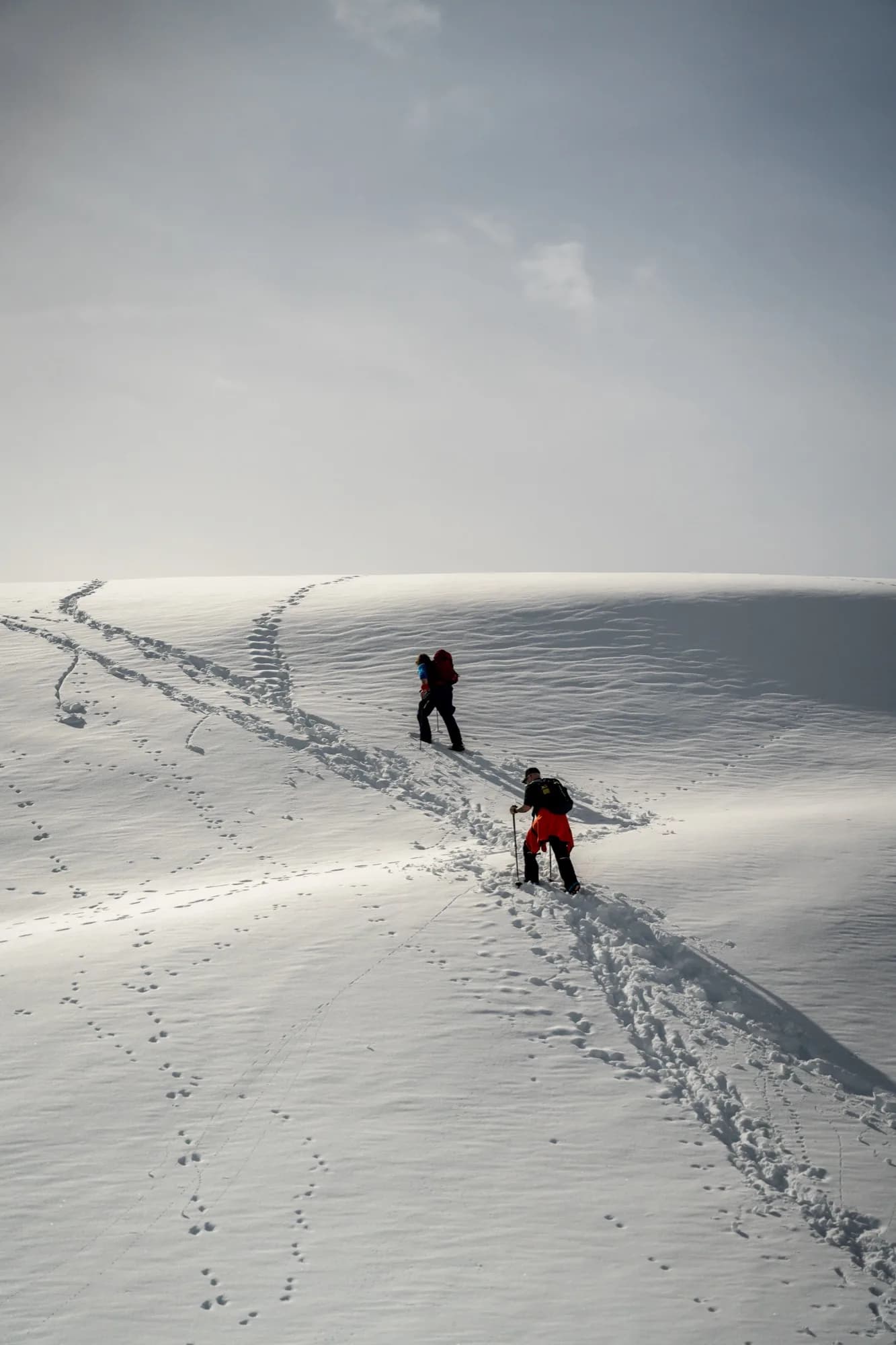 Zwei Schneeschuhwanderer steigen über einen unberührten Schneerücken im Karwendelgebirge auf